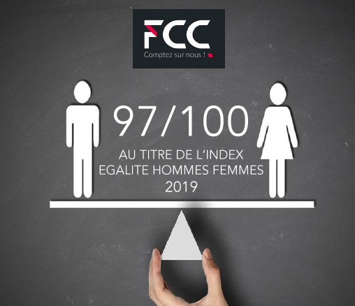  INDEX ÉGALITÉ PROFESSIONNELLE 2019